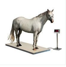 balanzas de carbono 2t de los 2.2x1.1m del caballo electrónico del acero