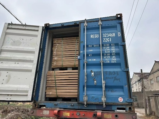 Prevención de las picaduras de ratón Balanza de pisos electrónica industrial de alta calidad Balanza digital de pesas
