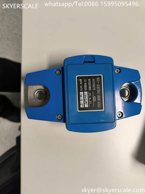 Balanza digital de peso colgante portátil de 100 kg Mini Balanza de grúa