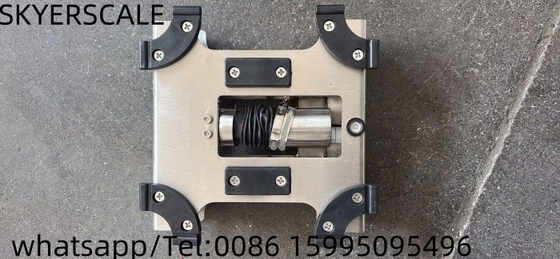 304 Balanza de banco de acero inoxidable Pesada industrial pequeña OEM/ODM/OBM soportado
