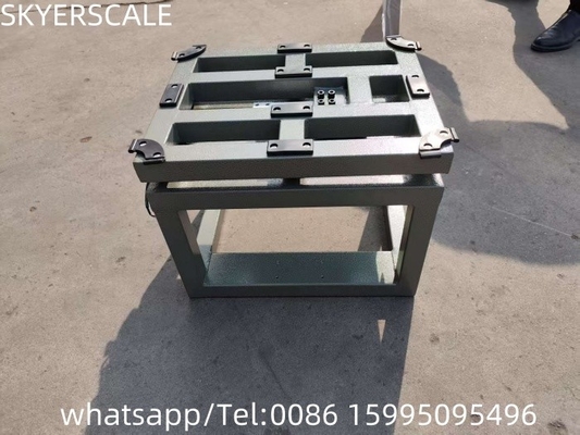 Balanza de pollo de 300 kg Balanza de plataforma electrónica de pesaje digital