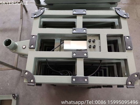 Balanza de la plataforma digital eléctrica de 200 kg