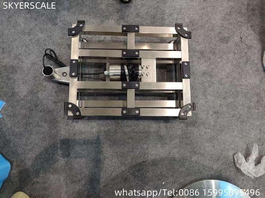 Fábrica 304 de acero inoxidable completo 400x500mm 300kg Inodoro IP67 Escala de plataforma