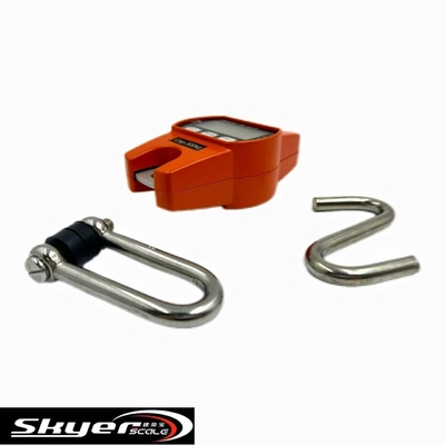 Escala de grúa digital de 300 kg con pantalla LCD LED